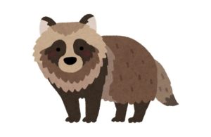 たぬき