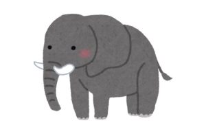 ぞう